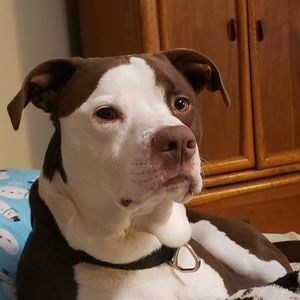 Meet your Posher, Candice